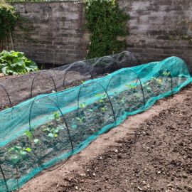 Cloches/Tunnels With Netting