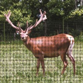 Deer Netting