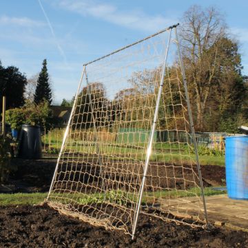 Pea and Bean Frame - 2m Long