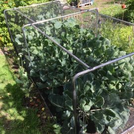 Portable Garden Tunnels With Netting