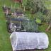 Flexible Garden Hoops and Netting
