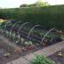 Garden Hoops With Butterfly Netting