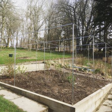 Build your Own Vegetable Cages